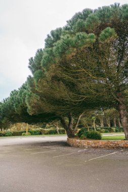 Jersey Adası, Channel Island (124; İngiltere - 2022.01.29: Channel Island, St. Ouens Körfezi 'ndeki güzel Jersey İnci Müzesi, 1985 yılında kuruldu.. 