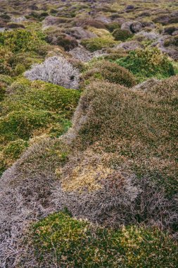 Soğuk bulutlu bir günde Jersey Adası 'nda (Kanal Adaları) güzel sahil manzarası