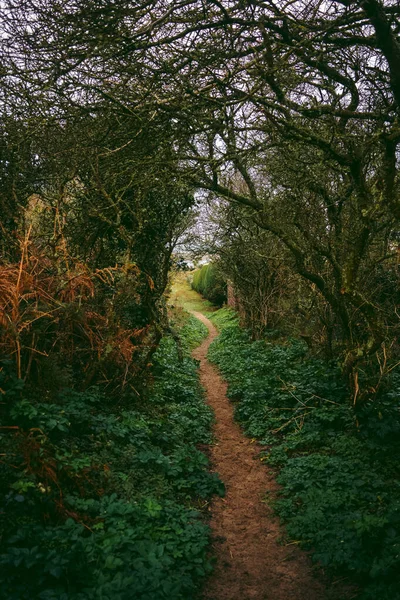 Beautiful Path Leads Sand Dunes Western Jersey Backing Southern End — стоковое фото