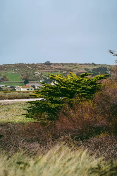 Vacker Stig Havsutsikt Jersey Island Kanalöarna Kall Molnig Dag — Stockfoto