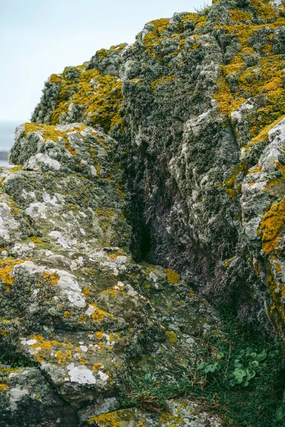 Krásný Výhled Přírodu Pobřežních Útesů Pláží Ostrově Jersey Normanské Ostrovy — Stock fotografie