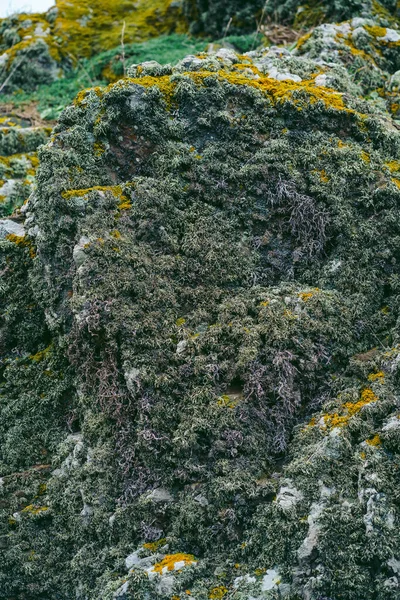 Schöne Naturansichten Von Küstenfelsen Und Stränden Auf Jersey Island Kanalinseln — Stockfoto