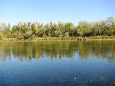 Banka sonbahar orman