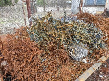 Paslı talaşlı fotoğraf. Patates kızartmalı kova. Teknoloji. Sanayi.