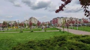 Lviv 'deki Kutsal Bakire' nin Doğumu Kilisesi yakınlarında pembe kiraz çiçekleri. Ukrayna.