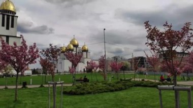 Lviv 'deki Kutsal Bakire' nin Doğumu Kilisesi yakınlarında pembe kiraz çiçekleri. Ukrayna.