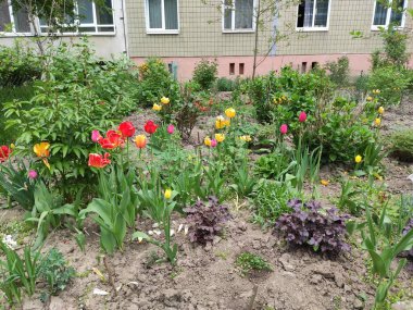 İnanılmaz derecede sevimli, soyut ve güzel bir fotoğraf. Çiçekler..