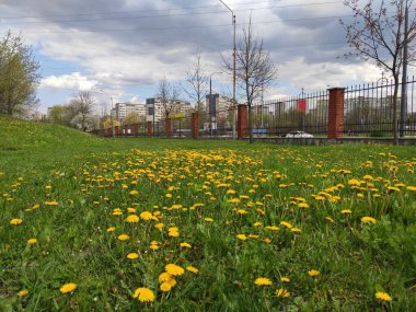 inanılmaz süper şirin soyut ve çiçekli güzel bir fotoğraf.