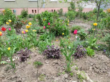 inanılmaz süper şirin soyut ve çiçekli güzel bir fotoğraf.