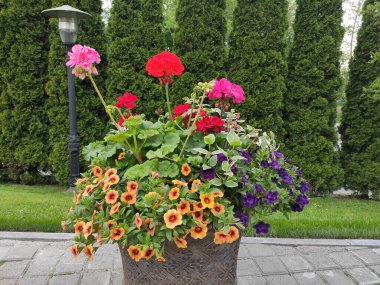 inanılmaz süper şirin soyut ve çiçekli güzel bir fotoğraf.