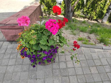 inanılmaz süper şirin soyut ve çiçekli güzel bir fotoğraf.