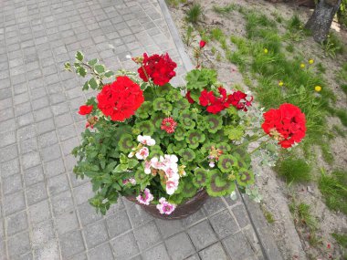 inanılmaz süper şirin soyut ve çiçekli güzel bir fotoğraf.