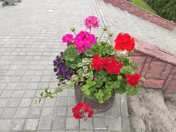 inanılmaz süper şirin soyut ve çiçekli güzel bir fotoğraf.