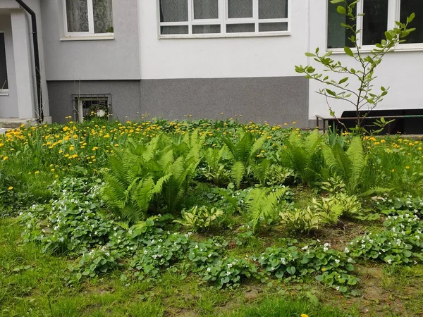 inanılmaz süper şirin soyut ve çiçekli güzel bir fotoğraf.