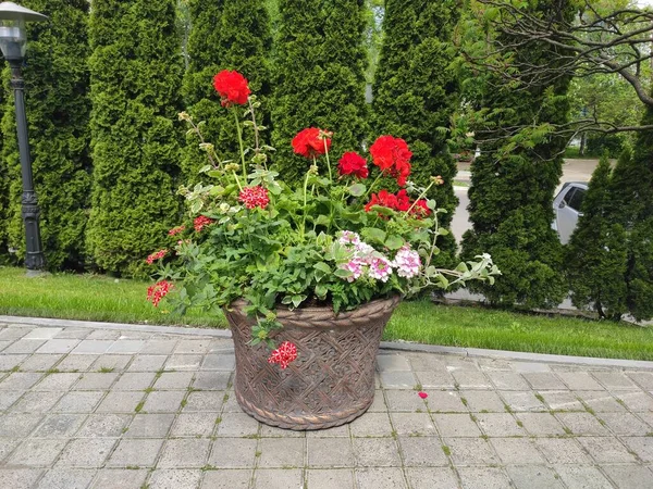 inanılmaz süper şirin soyut ve çiçekli güzel bir fotoğraf.