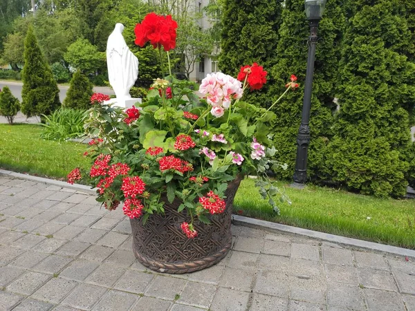 inanılmaz süper şirin soyut ve çiçekli güzel bir fotoğraf.