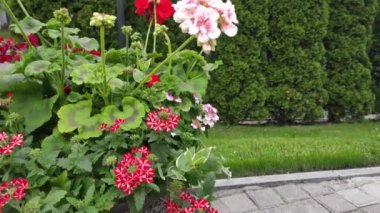 Renkli elementlerle hareket arkaplanı