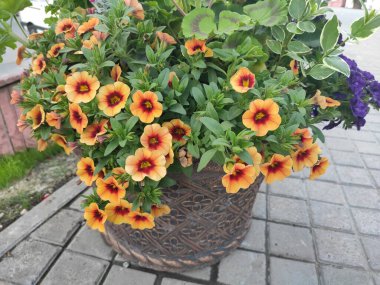 Photo pattern with floral ornament. Flowers on green, neutral and gray colors. Photo illustration.