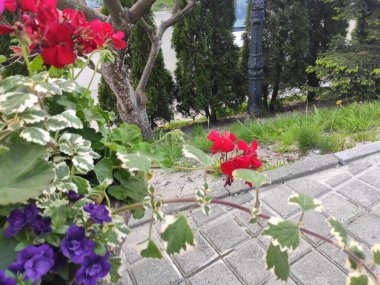 Photo floral pattern in doodle style with flowers. Gentle, tender floral background. Flowers on green, gray and neutral colors.