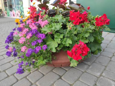 Photo abstract pattern page for antistress. Photo illustration. On green, gray and neutral colors.