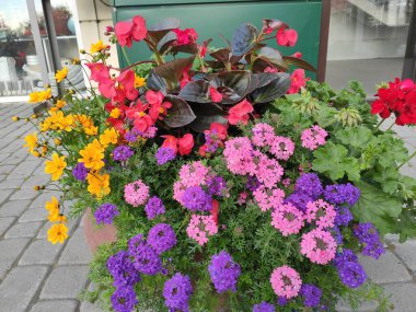 Photo floral pattern with flowers on green, gray and neutral colors. Flowers on green, gray and neutral colors in watercolor style.