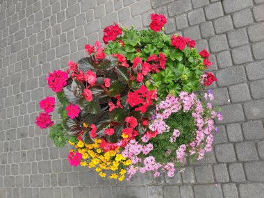 Photo floral pattern in doodle style with flowers. Gentle, spring floral background. Flowers on gray, green and neutral colors.