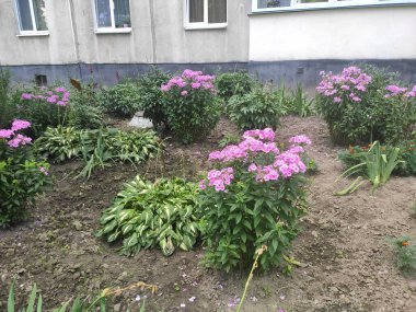 Abstract photo pattern on neutral, green and gray colors with bright flowers. Elegant photo texture with floral elements. Cute floral pattern in the small flower.