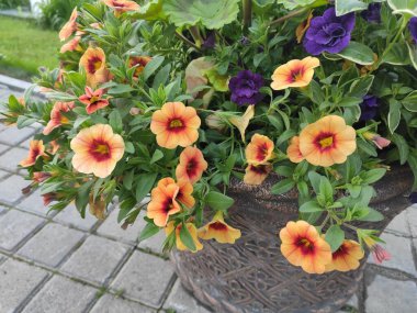 Beautiful watercolor pattern with flowers. Photo illustration. On neutral, gray and green colors. Ukraine, Ukrainian, 2022, Lviv