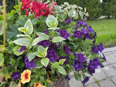 Cute photo floral print with spring flowers. Beautiful fabric pattern. Photo illustration. Ukraine, Ukrainian, 2022, Lviv