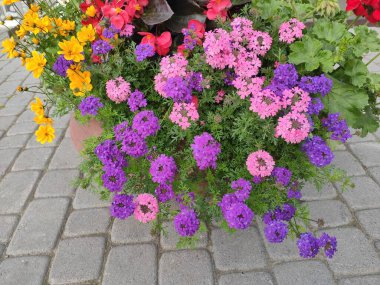 Hand drawn photo autumn floral flower pattern. Colorful violet, green and gray photo pattern. Doodle style. Perfect for textile, cover design. Flowers on violet, green and gray colors.