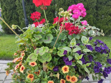 Floral wallpaper. Colorful ornamental border. Indian ornament. Photo pattern. Photo illustration. On green, neutral and gray colors. Ukraine, Ukrainian, 2022, Lviv