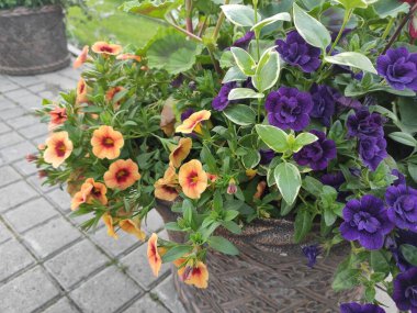 Organic motif background. Photo pattern. Photo illustration. Ultrafashionable fabric pattern. Ukraine, Ukrainian, 2022, Lviv