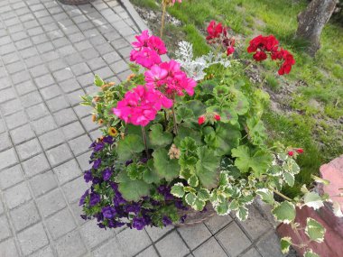 Cute Floral pattern in the small flower. Photo illustration. Photo Tony fabric pattern. Fashionable fabric pattern. Ukraine, Ukrainian, 2022, Lviv