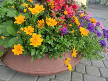 Photo watercolour floral pattern, delicate flowers, gray, brown and green flowers, greeting card template. Photo Beautiful fabric pattern. Ukraine, Ukrainian, 2022, Lviv