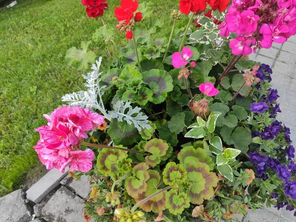 Photo floral pattern with flowers, watercolor. Photo pattern. Fancy fabric pattern. Ukraine, Ukrainian, 2022, Lviv