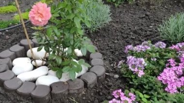 Motion footage background with colorful elements. Video. Flowers. A screen saver for a good video. Green. Grass. Ukraine, Ukrainian, 2022, Lviv