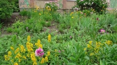 Motion footage background with colorful elements. Video. Flowers. A screen saver for a good video. Green. Grass. Ukraine, Ukrainian, 2022, Lviv