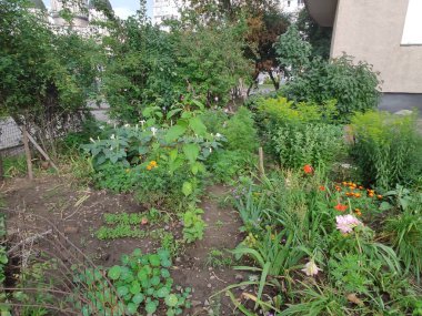 Spring. Autumn. Ukrainian. Nature. Cute. Lviv. Summer. Screensaver. Ukraine. Nice. Flowerbed. Green grass. Photo on green, gray and neutral colors. Background. Colorful flowers. 2022.