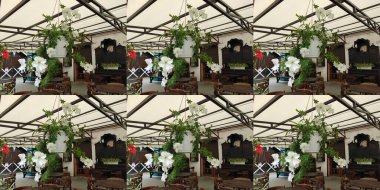 Photo on gray, beige and brown colors. Green grass. Summer. Autumn. Spring. Colorful flowers. Flowerbed. Ukrainian. Nature. Nice. Beautiful. Bright. Saturated. Pleasure. Joy. Background. Screensaver.