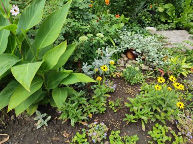 Ekran koruyucu. Yeşil çimenler. Güzelmiş. Neşe. Geçmişi. Bahar. Çok güzel. Doğa. Sonbahar. Renkli çiçekler. Memnun oldum. Tarafsız, gri ve yeşil renkler. Doymuş. Şirin. Yaz. Çiçek tarlasında. Parlak.