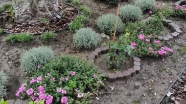 Renkli unsurlarla hareketli arka plan görüntüleri. Video kaydı. Çiçekler. İyi bir video için ekran koruyucu. Yeşil. Çimenler. Ağaçlar. Çiçekler. Bahar. Yaz. Ukrayna, Ukrayna, 2022, Lviv