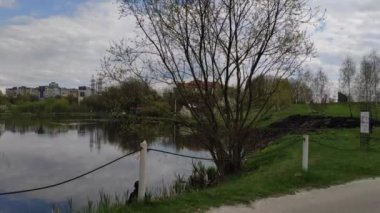 Renkli unsurlarla hareketli arka plan görüntüleri. Video kaydı. Çiçekler. İyi bir video için ekran koruyucu. Yeşil. Çimenler. Ağaçlar. Çiçekler. Bahar. Yaz. Ukrayna, Ukrayna, 2022, Lviv