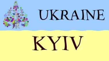Renkli bayraklı hareketli arka plan görüntüleri. Ukrayna bayrağı.