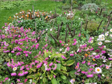 Doğa. Güzelmiş. Çok güzel. Parlak. Doymuş. Memnun oldum. Neşe. Geçmişi. Ekran koruyucu. Şirin. Fotoğraf yeşil, nötr ve gri renklerde. Yeşil çimenler. Yaz. Sonbahar. Bahar.