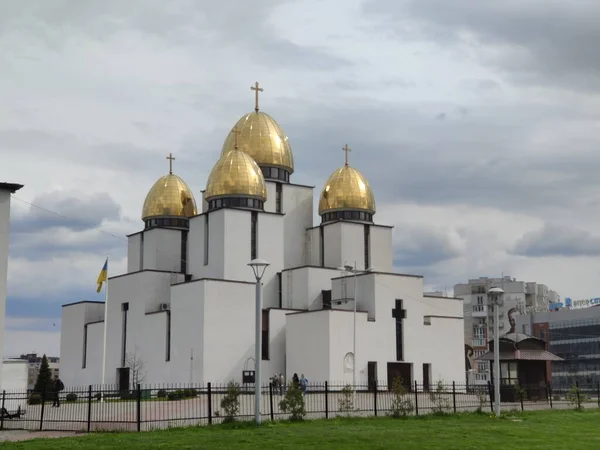 Природа Приємно Прекрасно Яскравий Насичений Приємно Радість Тло Знімок Екрана — стокове фото