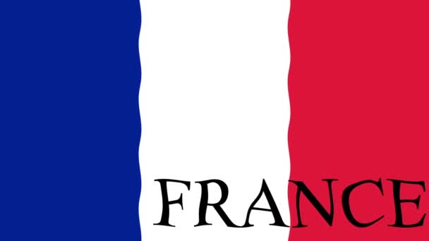 Pozadí Záznamu Pohybu Barevnou Vlajkou Francouzská Vlajka — Stock video