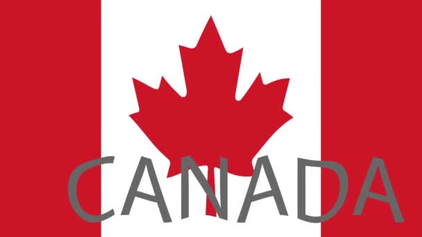 Фон Съёмок Цветным Флагом Флаг Канады — стоковое видео