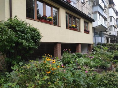 Nature. Nice. Beautiful. Bright. Saturated. Pleasure. Joy. Background. Screensaver. Cute. Photo on gray, green and neutral colors. Green grass. Summer. Autumn. Spring. Colorful flowers. Flowerbed.