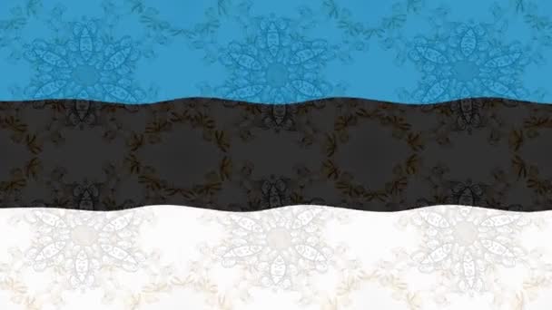 Rörelsematerial Bakgrund Med Färgglada Flagga Estlands Flagga — Stockvideo
