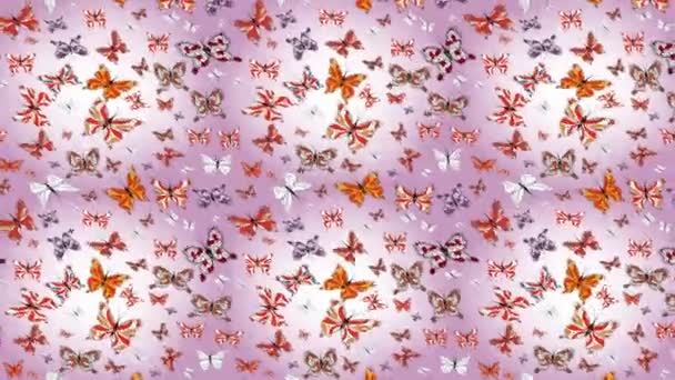 手描きのシルエット蝶の模様を水彩の質感で背景映像 楽しい色のイラスト ヴィンテージ風のイラスト — ストック動画